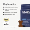 image:imagePetLab Co Advanced Dog Joint Supplement Chews 30 ChewsSalmon