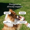 image:imagePetLab Co Advanced Dog Joint Supplement Chews 30 ChewsSalmon