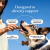 image:imagePetLab Co Advanced Dog Joint Supplement Chews 30 ChewsSalmon Advanced