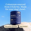 image:imagePetLab Co ImmunoBlend Bovine Colostrum Powder for Dogs  Immune Support