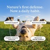 image:imagePetLab Co ImmunoBlend Bovine Colostrum Powder for Dogs  Immune Support