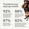image:imagePetLab Co Probiotics for Dogs Support Gut Health Occasional Diarrhea Digestive Health amp Seasonal Allergies  Salmon Flavor  30 Soft Chews  Pack of 3Pork