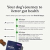 image:imagePetLab Co Probiotics for Dogs Support Gut Health Occasional Diarrhea Digestive Health amp Seasonal Allergies  Salmon Flavor  30 Soft Chews  Pack of 3Salmon