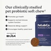 image:imagePetLab Co Probiotics for Dogs Support Gut Health Occasional Diarrhea Digestive Health amp Seasonal Allergies  Salmon Flavor  30 Soft Chews  Pack of 3Salmon
