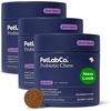 image:imagePetLab Co Probiotics for Dogs Support Gut Health Occasional Diarrhea Digestive Health amp Seasonal Allergies  Salmon Flavor  30 Soft Chews  Pack of 3Salmon
